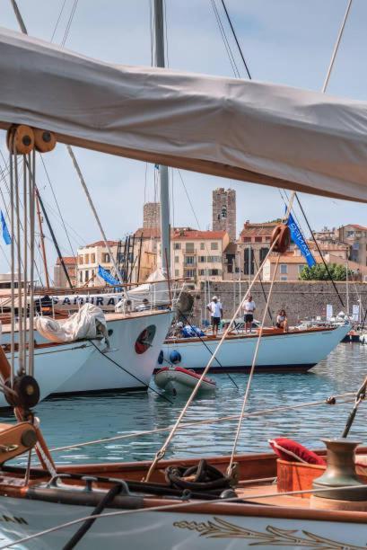 Apartament Cosy Migrainier - Vieil Antibes Zewnętrze zdjęcie
