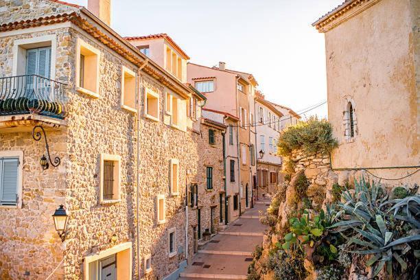 Apartament Cosy Migrainier - Vieil Antibes Zewnętrze zdjęcie