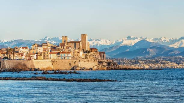 Apartament Cosy Migrainier - Vieil Antibes Zewnętrze zdjęcie